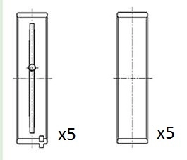 Crankshaft Bearing